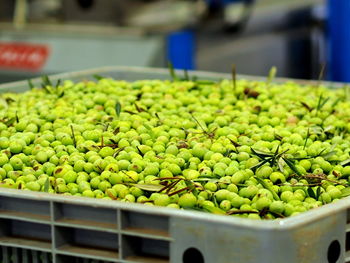 Close-up of green olives for sale in market