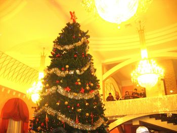 Low angle view of illuminated christmas decoration hanging on ceiling