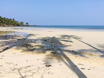 Scenic view of sea against clear sky