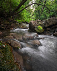 Stream flowing through rocks in forest