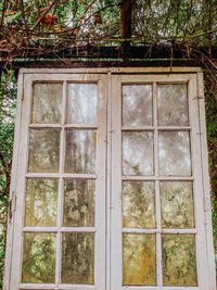 Low angle view of glass window of building