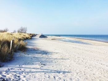 Scenic view of beach against clear sky