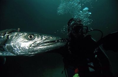 Fish underwater