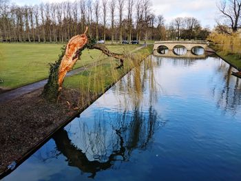Reflection of bare trees in lake against sky