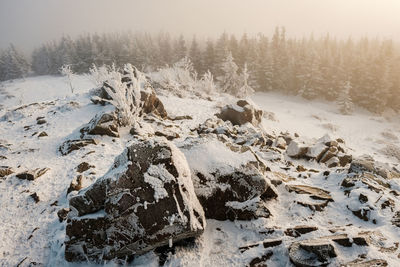 View of snow covered land