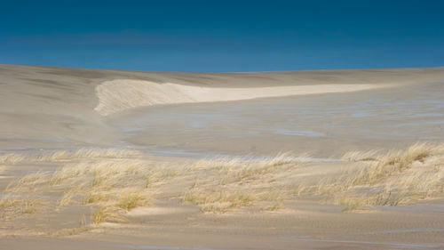 Scenic view of desert against blue sky