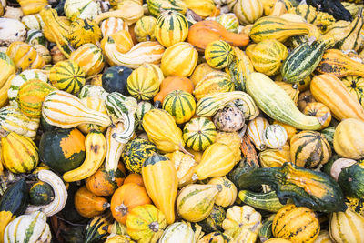 Full frame shot of pumpkins in market