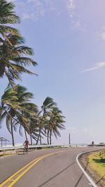 Palm trees on road against sky