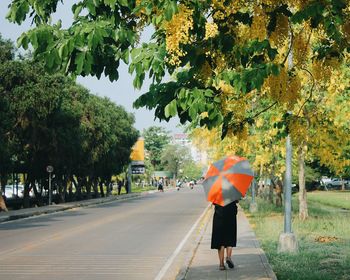 Rear view of woman with umbrella walking on sidewalk against trees