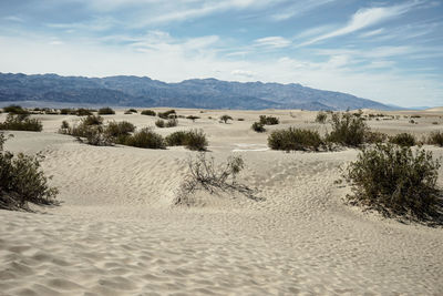 Scenic view of desert against sky