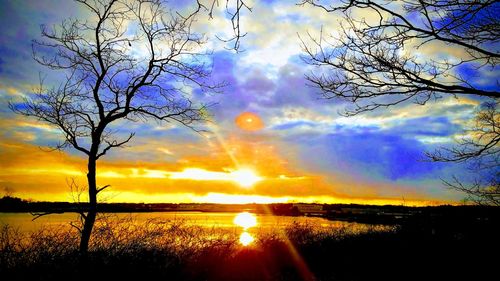 Silhouette bare trees against sky during sunset