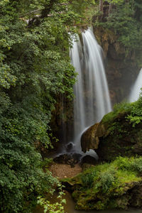 Scenic view of waterfall in forest