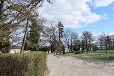 Trees on field against sky