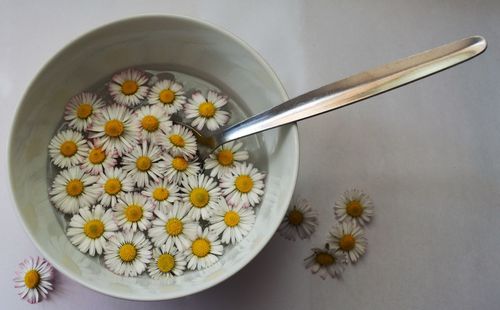 Close-up high angle view of flowers in bowl
