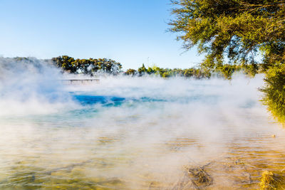 Scenic view of geothermal kuirau park 