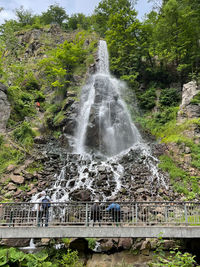 Low angle view of waterfall in forest