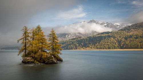 Scenic view of tree by lake against sky