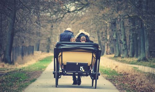Rear view of people in horse cart on road amidst trees