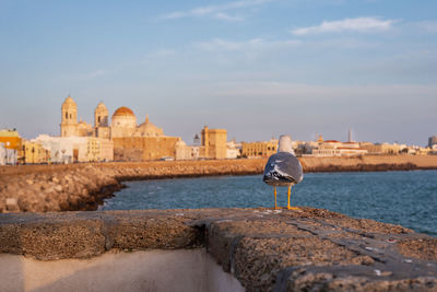 View of fort on sea against sky