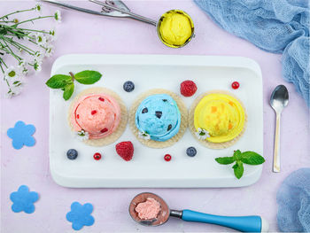 Fruit and berry ice cream in a rectangular plate.