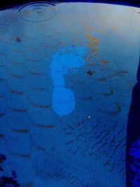 Close-up of tree against blue sky