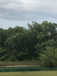 Trees on landscape against sky