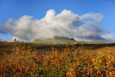 Scenic view of skaftafell national park against cloudy sky