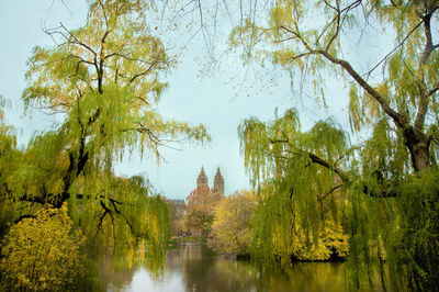 Trees by lake against sky during autumn