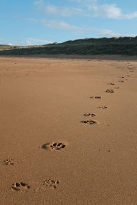 High angle view of footprints on sand at beach against sky