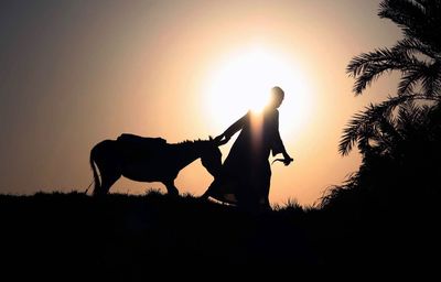 Silhouette woman with horse in background against sky during sunset