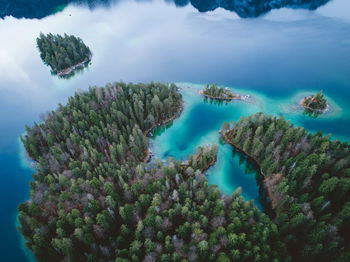 Aerial view of trees on land by sea