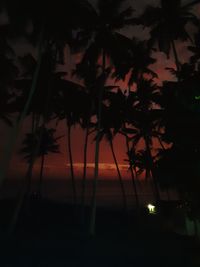 Silhouette palm trees against sky at night