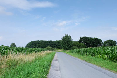 Empty road with trees in background