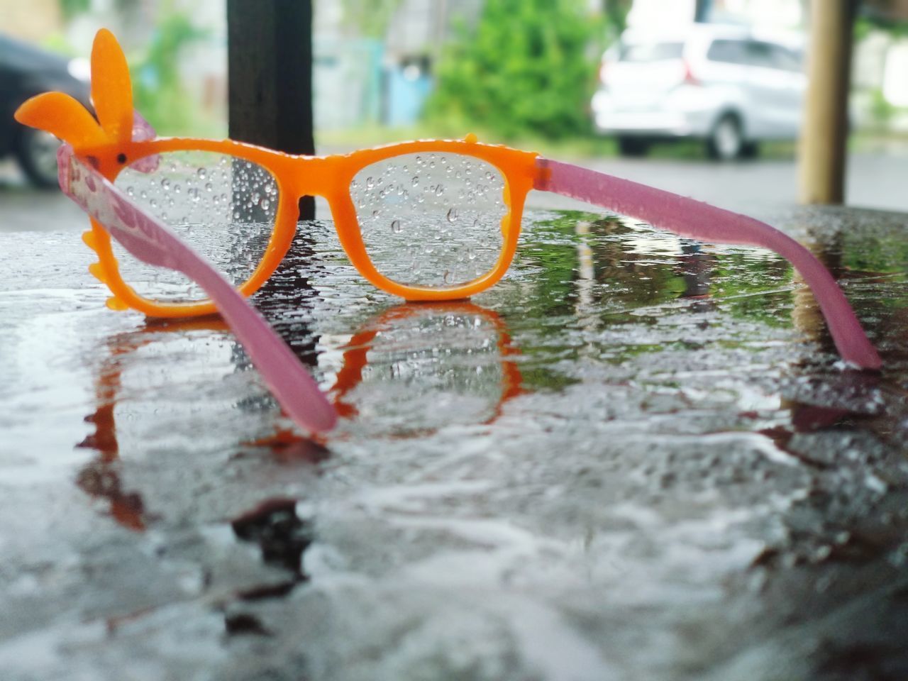 water, day, nature, no people, selective focus, wet, outdoors, flower, glasses, close-up, vehicle, plant, car, reflection, transportation, orange color, yellow, leaf