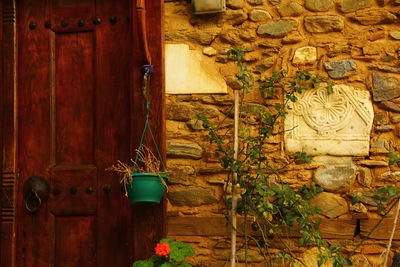 Potted plants on old wall of building