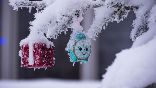 Close-up of snow covered decoration