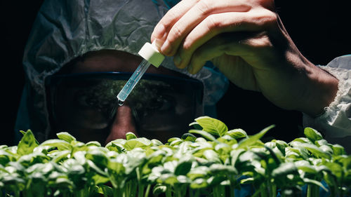 Biologist is dropping liquid chemical on plants
