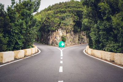 Rear view of man on road amidst trees