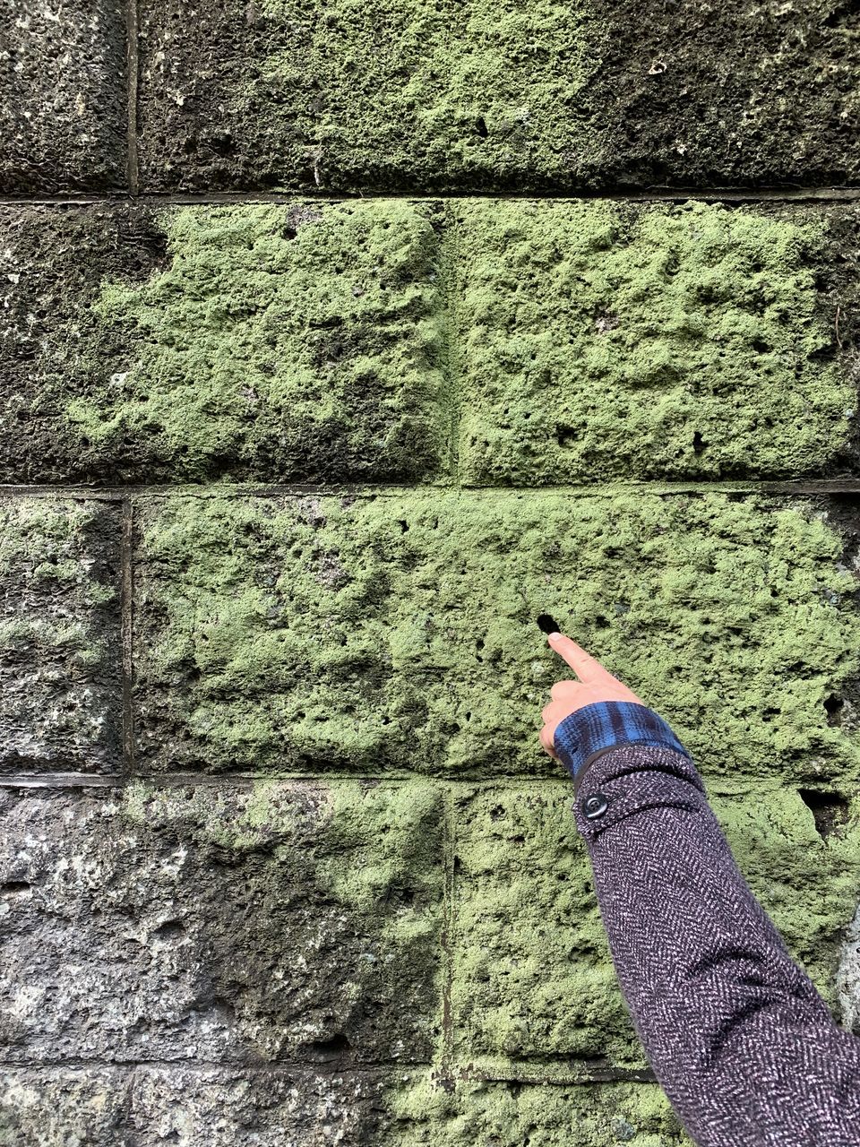 SHADOW OF PERSON ON CONCRETE WALL