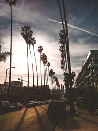 Road by trees against sky in city