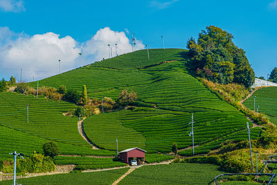 Houses on field against sky