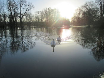 Scenic view of lake at sunset