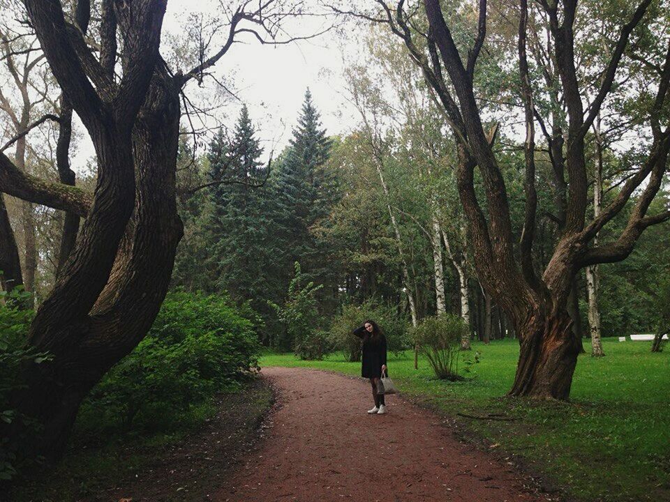 tree, full length, real people, one person, lifestyles, nature, leisure activity, rear view, walking, growth, men, outdoors, women, beauty in nature, day, mammal, people, adult, adults only