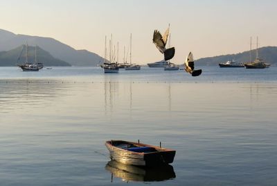 Boats moored in sea