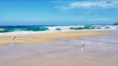 Scenic view of beach against sky