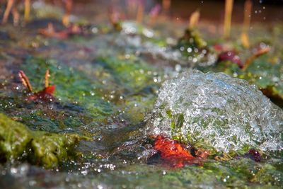 Close-up view of water