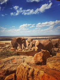 Scenic view of rocks on sea against sky