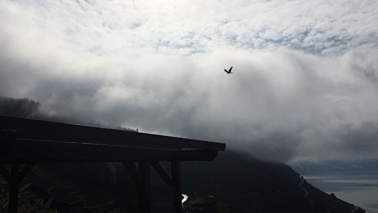 sky, cloud - sky, weather, bird, flying, cloudy, built structure, architecture, overcast, building exterior, nature, animal themes, scenics, one animal, beauty in nature, dusk, water, tranquility, outdoors, sea