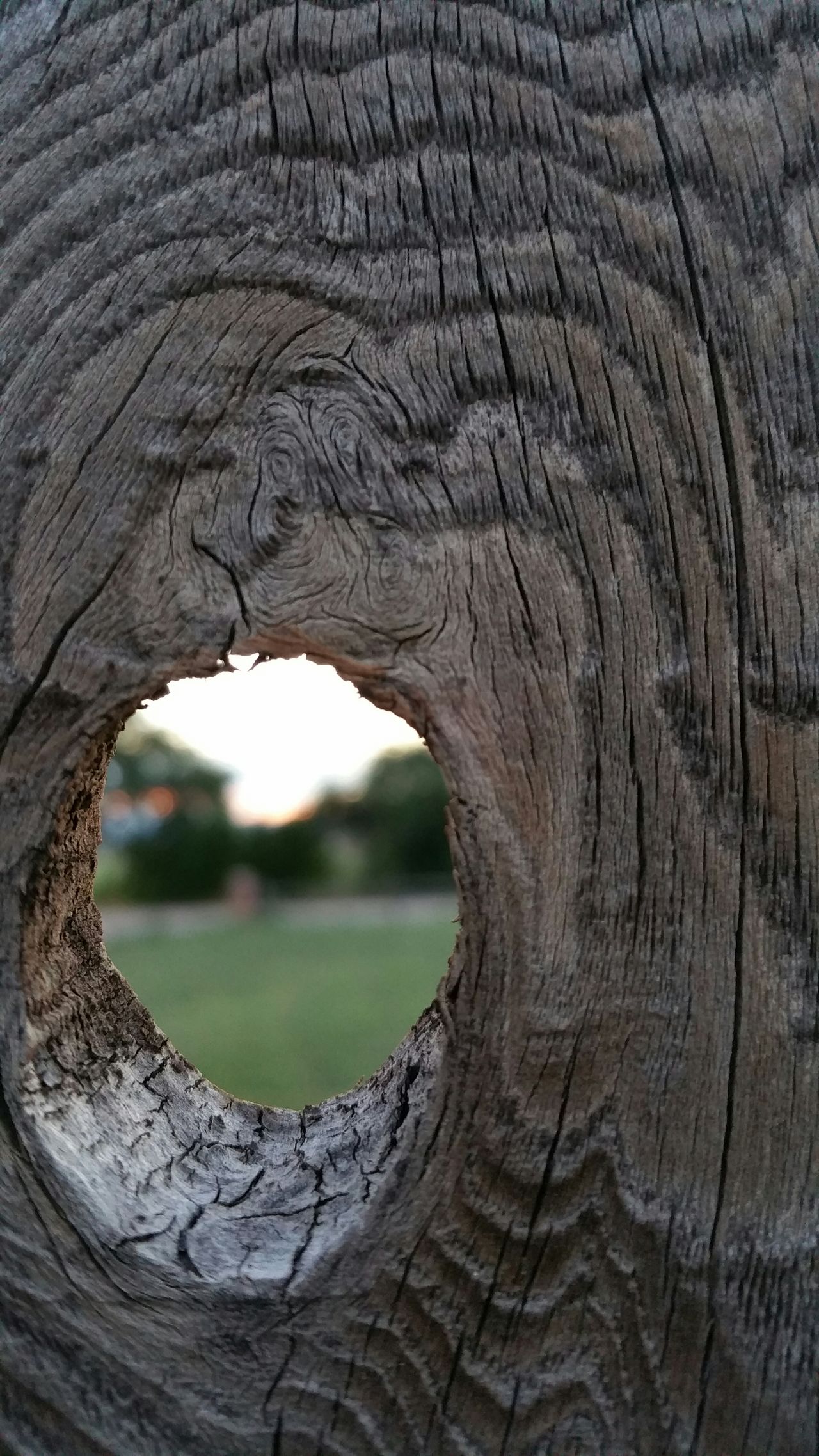 Knot in the fence