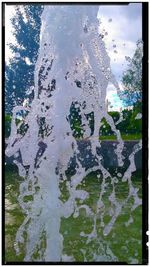 View of trees in water